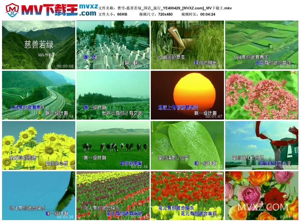 曹雪-慈善若绿_国语_流行_YE400429